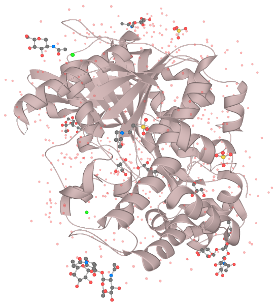 Autoimmunity image